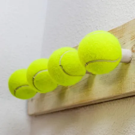 招待所 Solpark Tenis Sl 莫莱拉